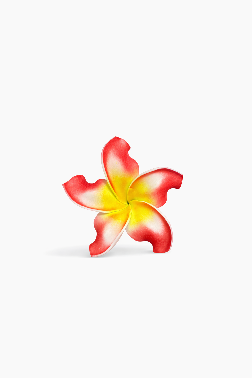 Red & Yellow Frangipani Flower Sei