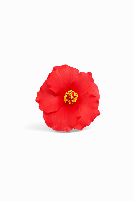 Red Hibiscus Flower Sei