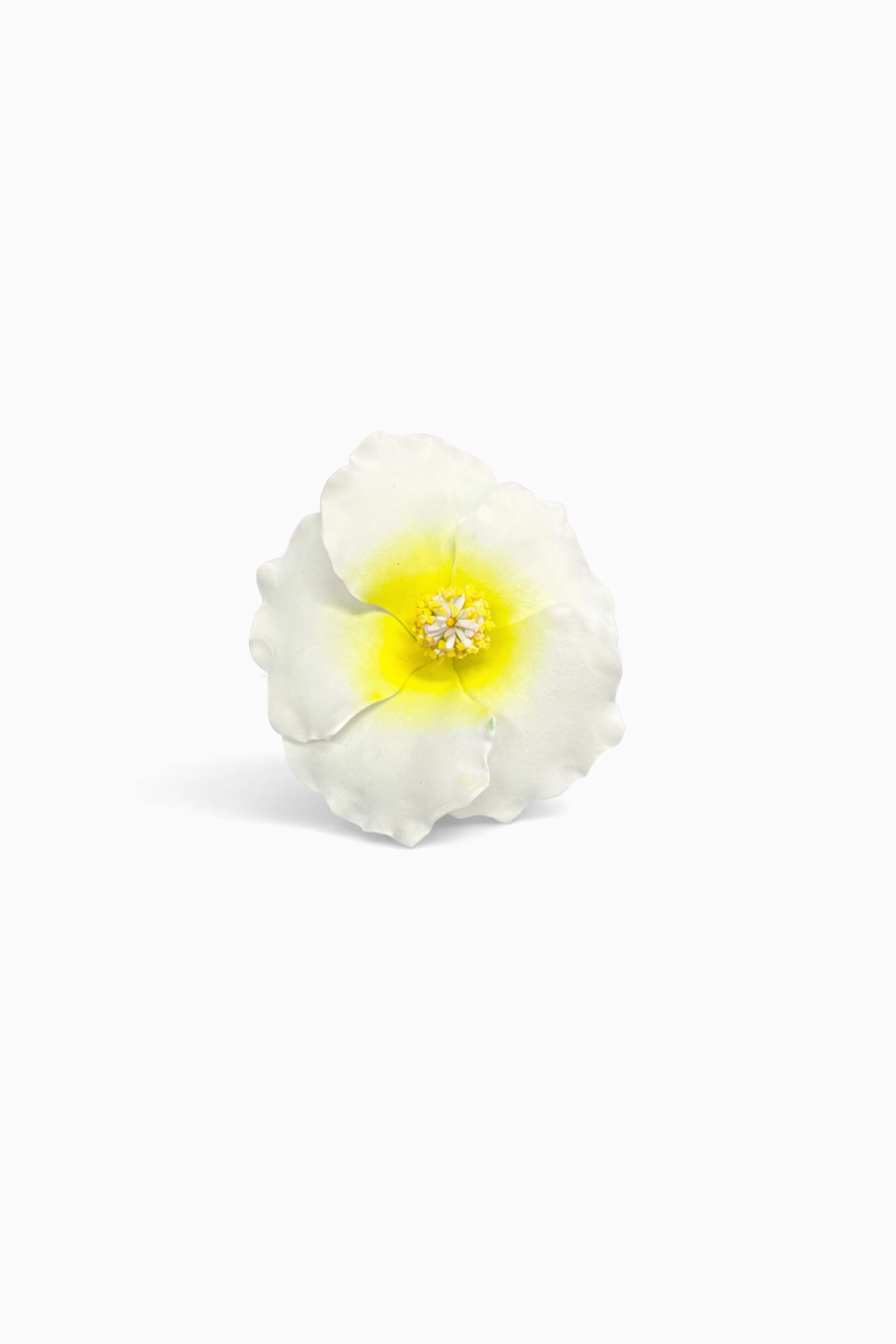 White & Yellow Hibiscus Flower Sei