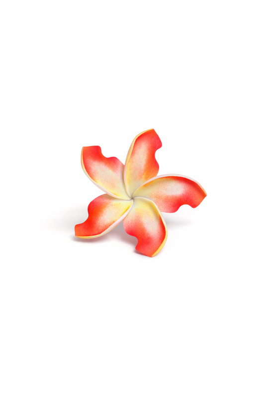 Orange & White Frangipani Flower Sei