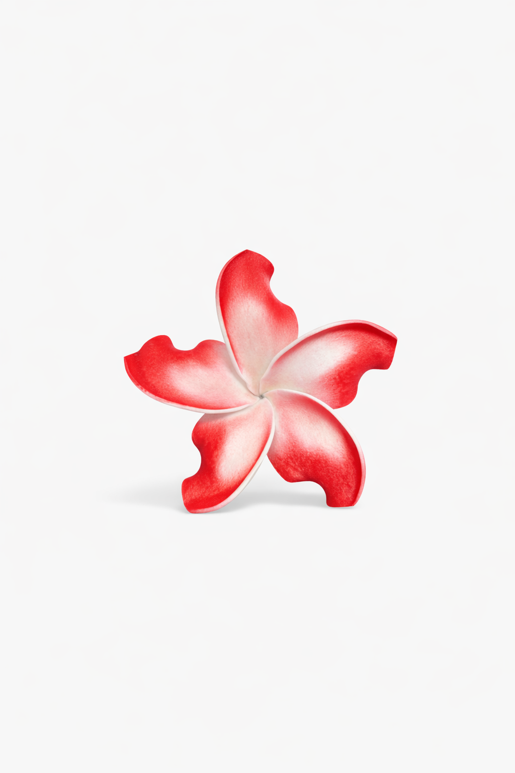 Red & White Frangipani Flower Sei