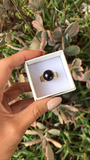 Kylie - Round Button Smooth Premiun Natural Freshwater Black Pearl Ring