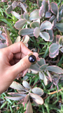 Kylie - Round Button Smooth Premiun Natural Freshwater Black Pearl Ring